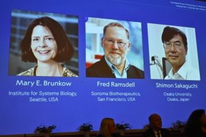 The Nobel Prize in medicine goes to 3 scientists for key immune system discoveries